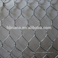 Tela de malha hexagonal 1/2 &#39;&#39; / galvanizada por imersão a quente Rabbit Bird Wire Mesh de rede hexagonal